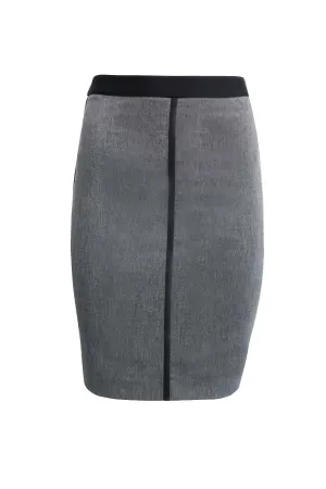 A-Line Pencil Skirt with Black Lines